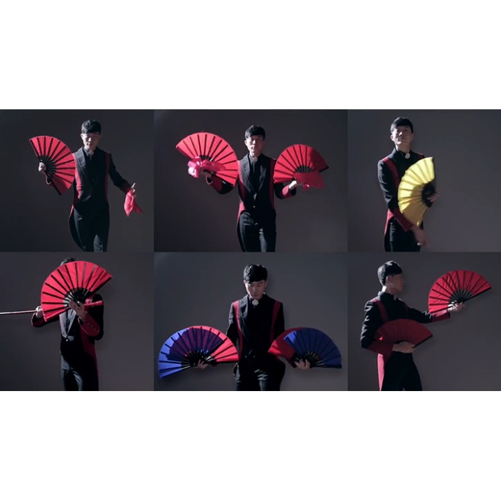 FANtast by Po-Cheng Lai - DVD