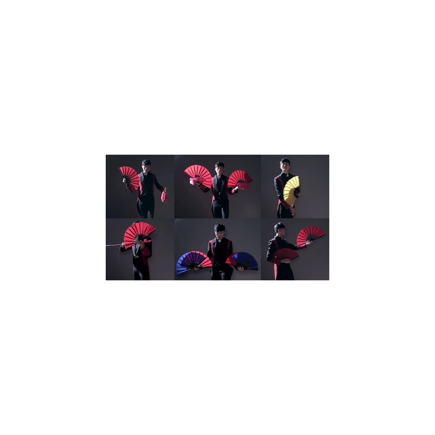 FANtast by Po-Cheng Lai - DVD