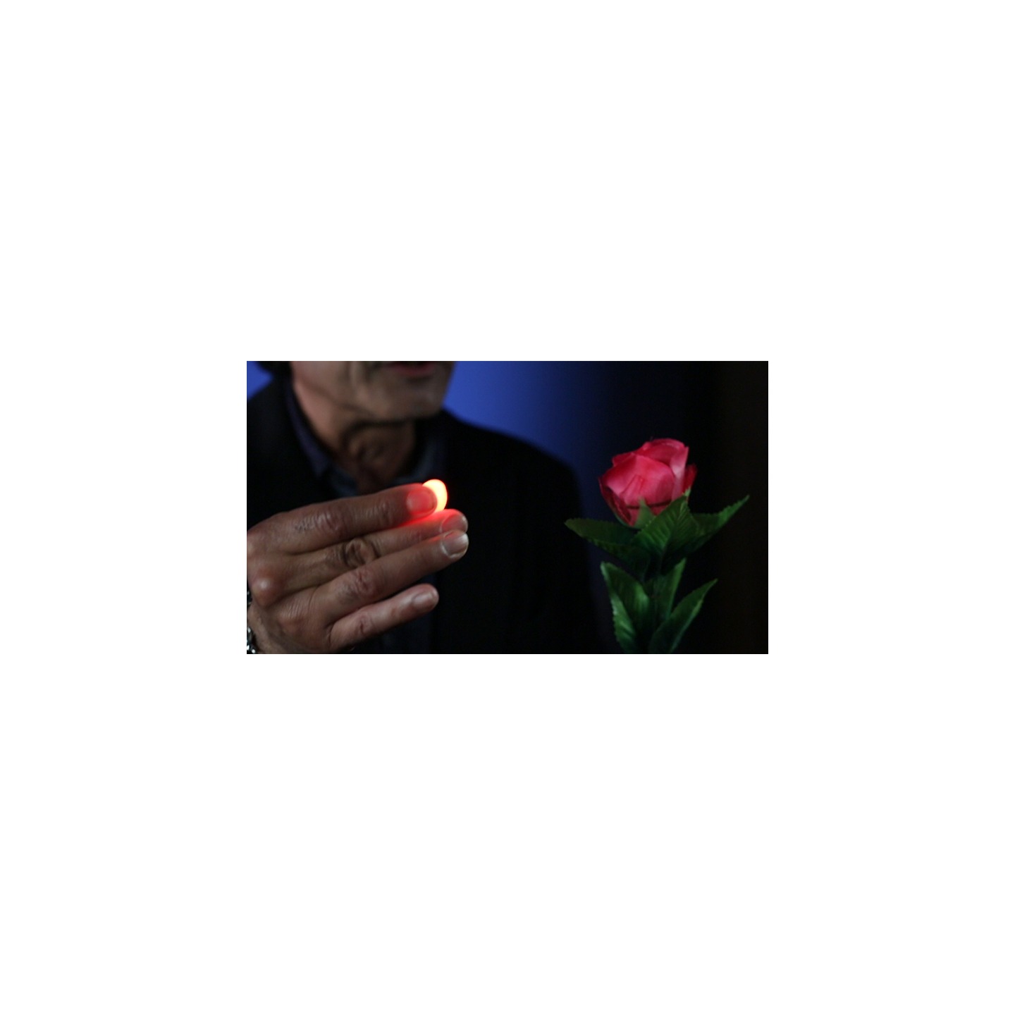Rocco's Prisma Lites SOUND Single (Bug/Red)