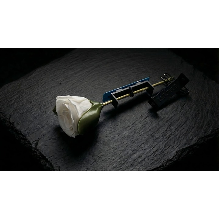 Project H: Rose Holder by J.S.M. Studio & Bacon Magic
