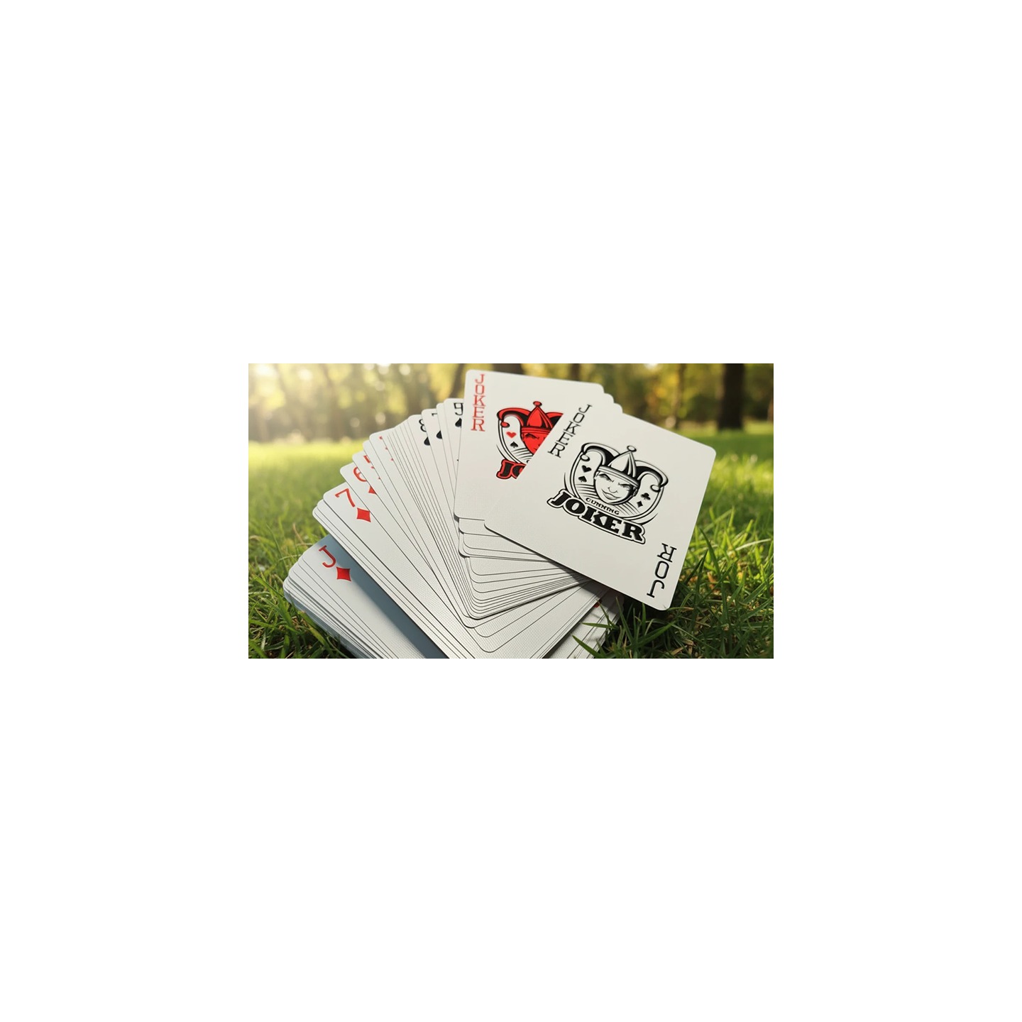 Disobedience Playing Cards by WohStudios