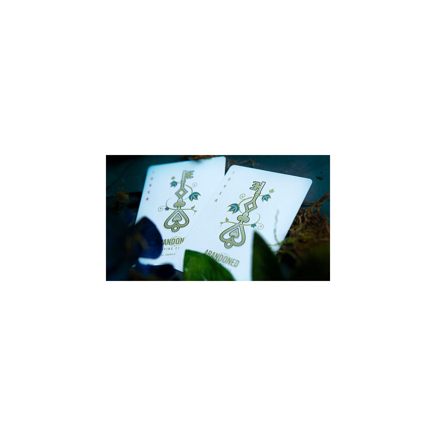 Abandoned Luxury Playing Cards by Dynamo