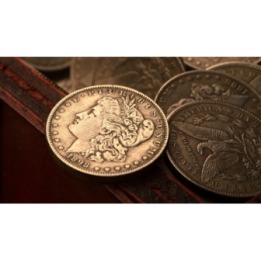 Mini Morgan (pack of 5) by N2G