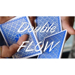 Magic Encarta Presents Double F.L.O.W by Vivek Singhi video DOWNLOAD
