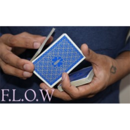 Magic Encarta Presents F.L.O.W by Vivek Singhi - Video DOWNLOAD