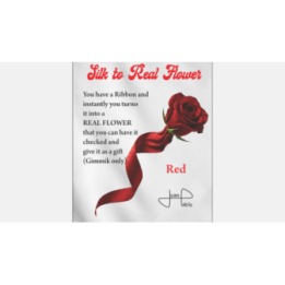 Silk to Real Flower (Red) by Juan Pablo