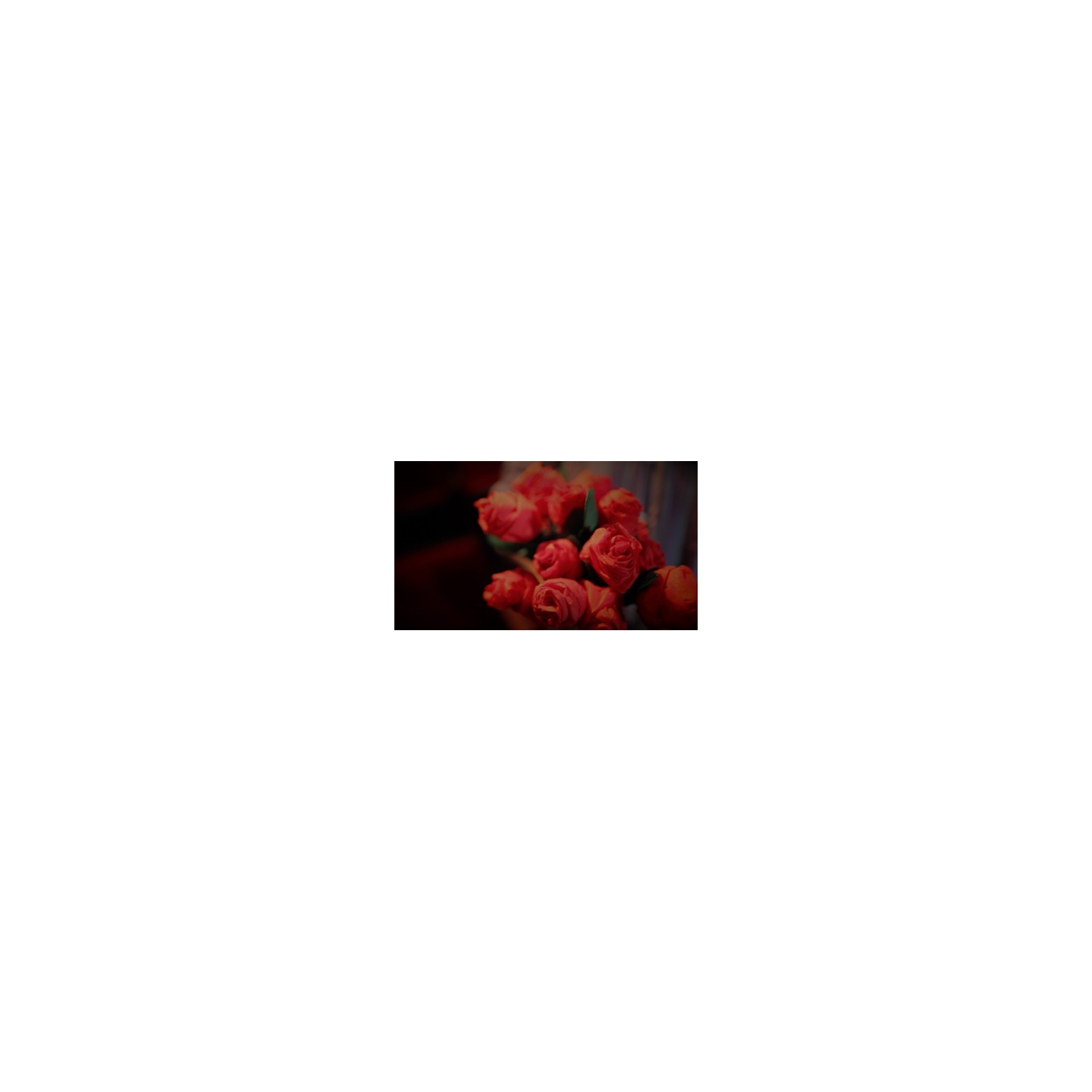 The Saint-Exerpury Rose by Vincent Mendoza & Lost Art Magic - Video DOWNLOA