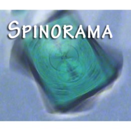 Spinorama by William Lee video DOWNLOAD