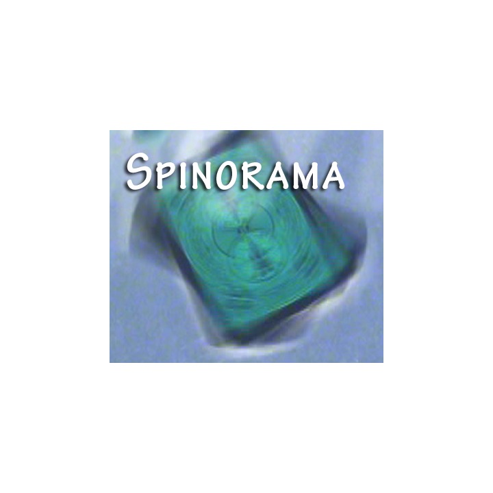 Spinorama by William Lee video DOWNLOAD