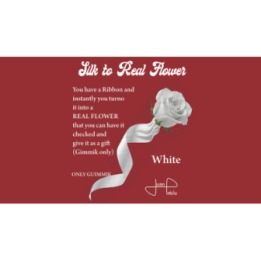 Silk to Real Flower (White) by Juan Pablo