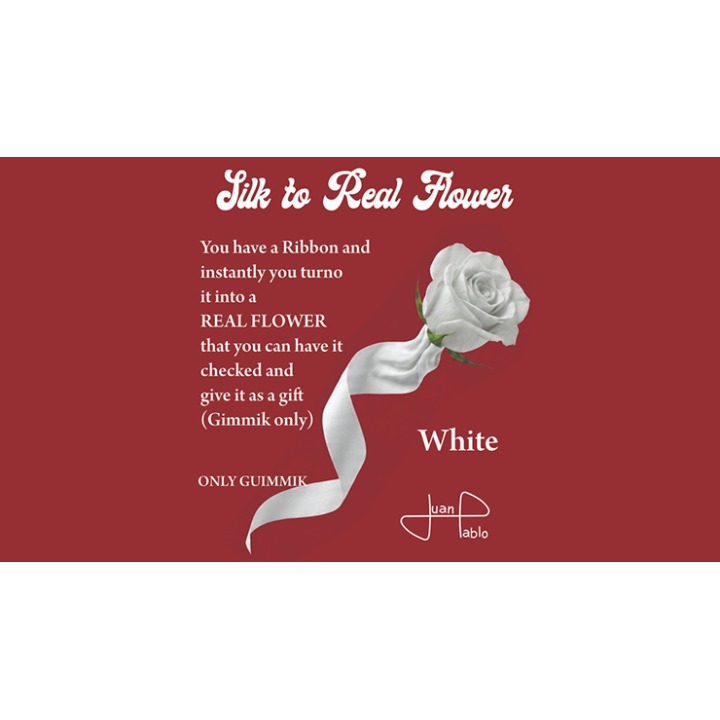 Silk to Real Flower (White) by Juan Pablo