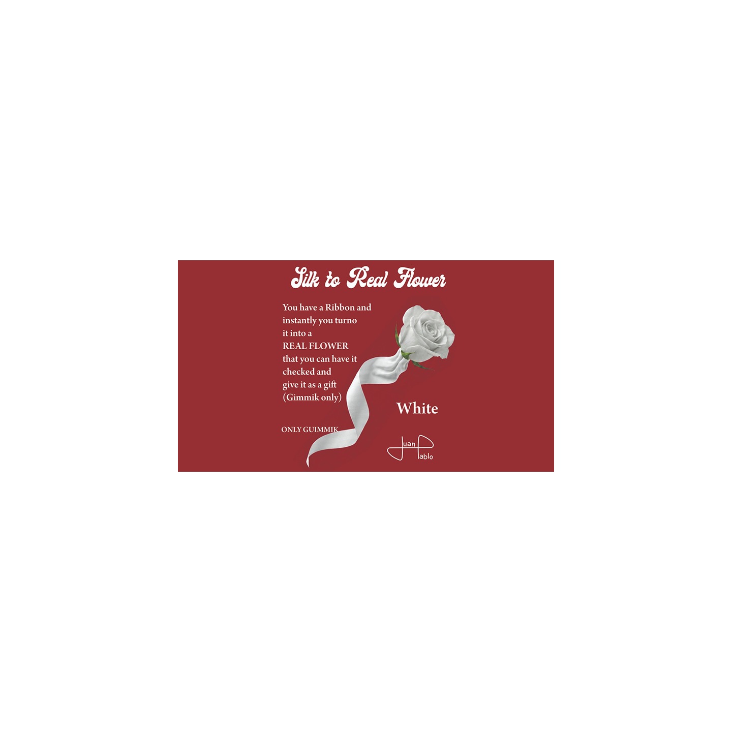 Silk to Real Flower (White) by Juan Pablo