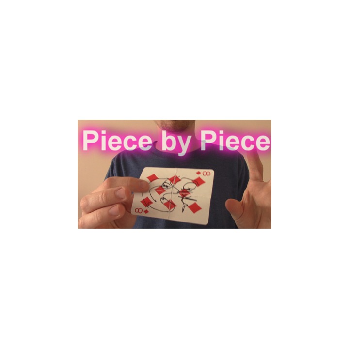Piece by Piece by Aaron Plener - Video DOWNLOAD