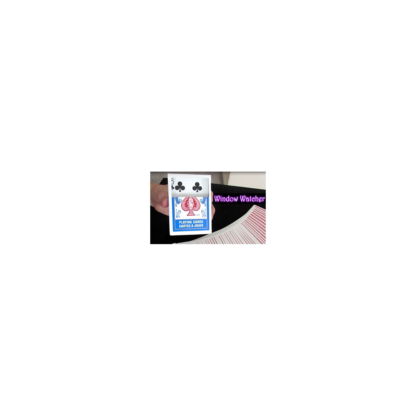 Window Watcher by Aaron Plener - Video DOWNLOAD