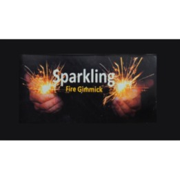 SPARKLE (PAIR) by Uday