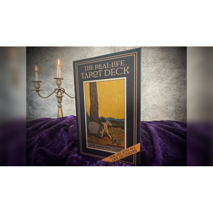 The Real-Life Tarot Deck by David Regal