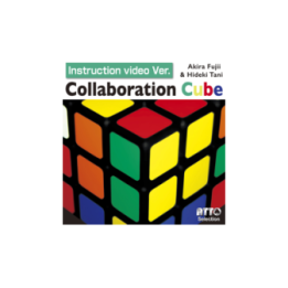 Collaboration Cube (Online Instruction) by Akira Fujii & Hideki Tani