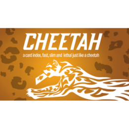 Cheetah by German Dabat and Michel