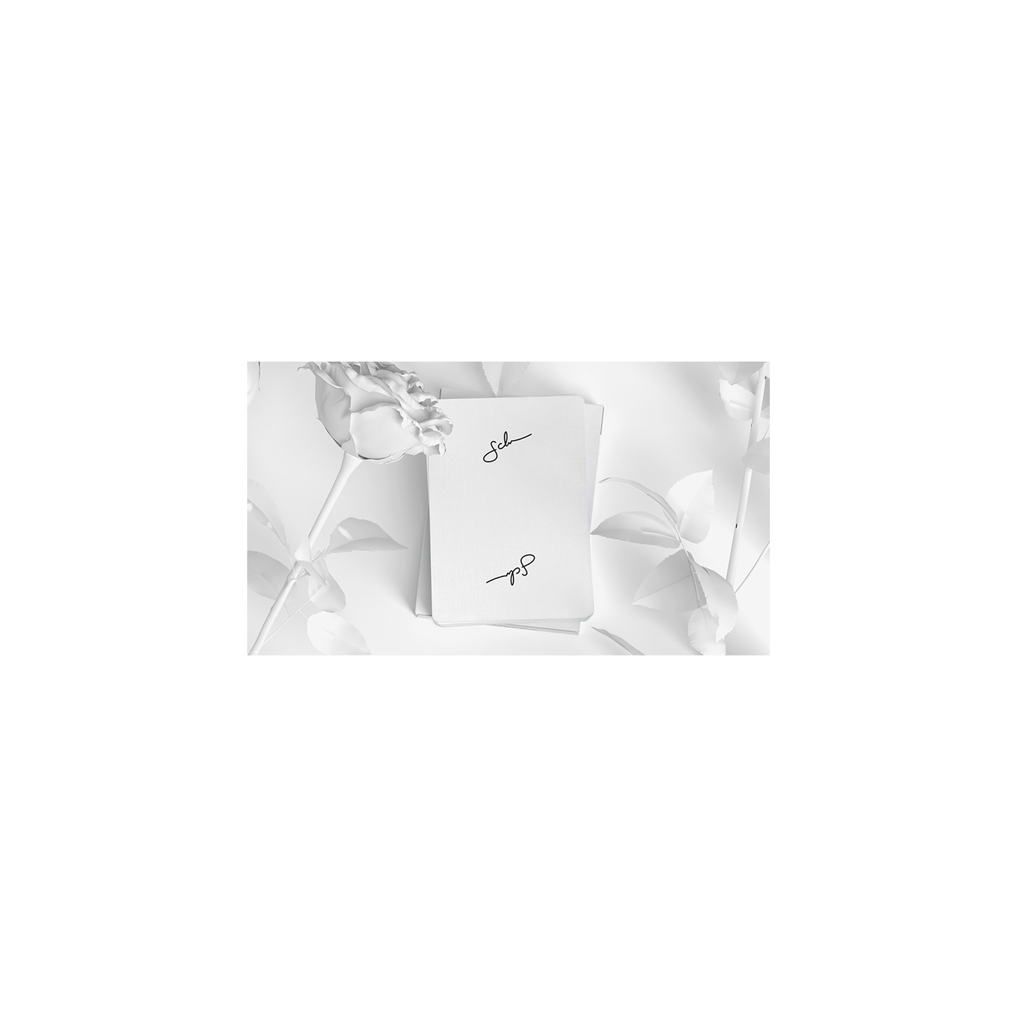 Daniel Schneider White Edition Playing Cards