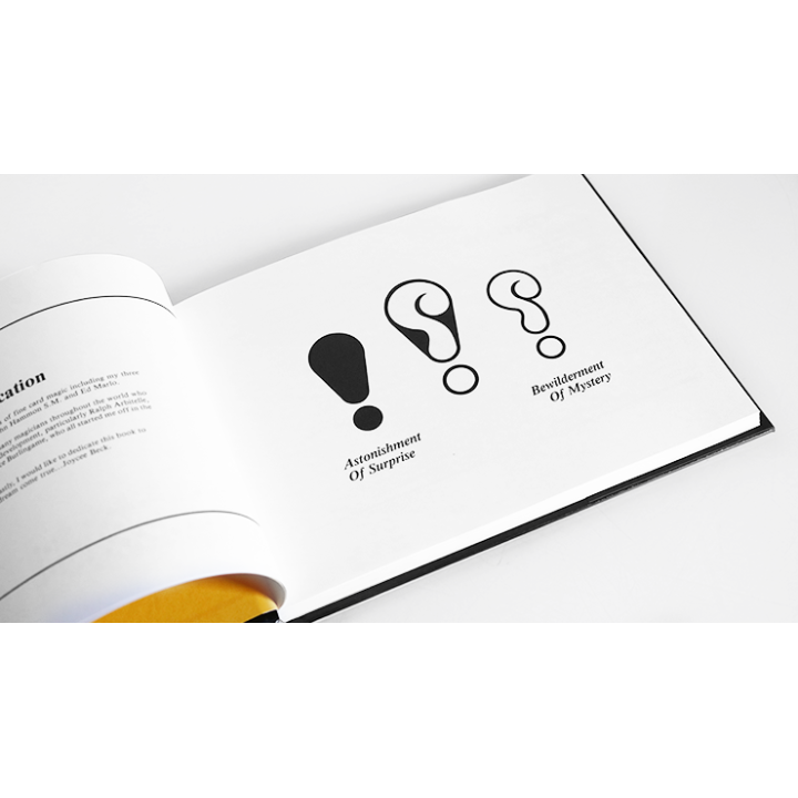 Ambitious Card Omnibus by Daryl and Stephen Minch