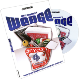 Wedge by Jesse Feinberg