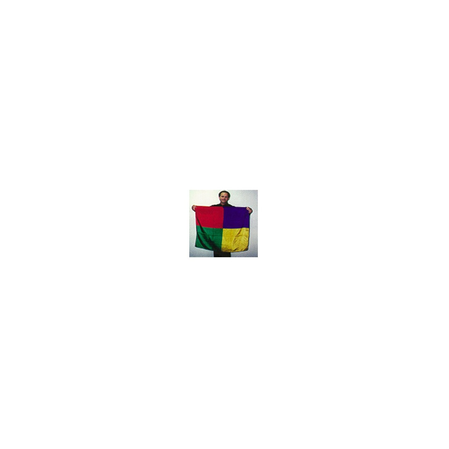 Four Square Blendo