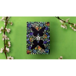 Butterfly Seasons Playing Cards Marked (Spring) by Ondrej Psenicka