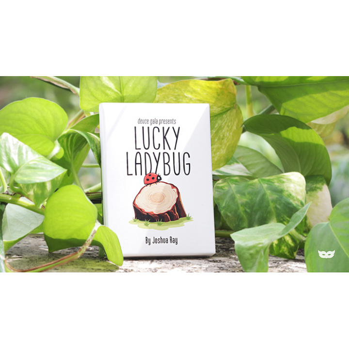 Lucky Ladybug (Leaf) by Joshua Ray & Deuce Gala Magic