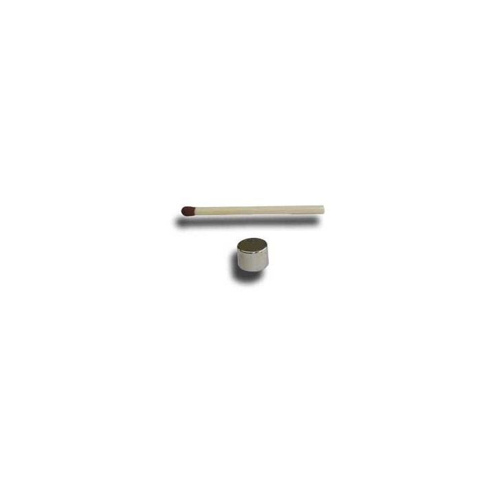 MAGNET 8x6 mm