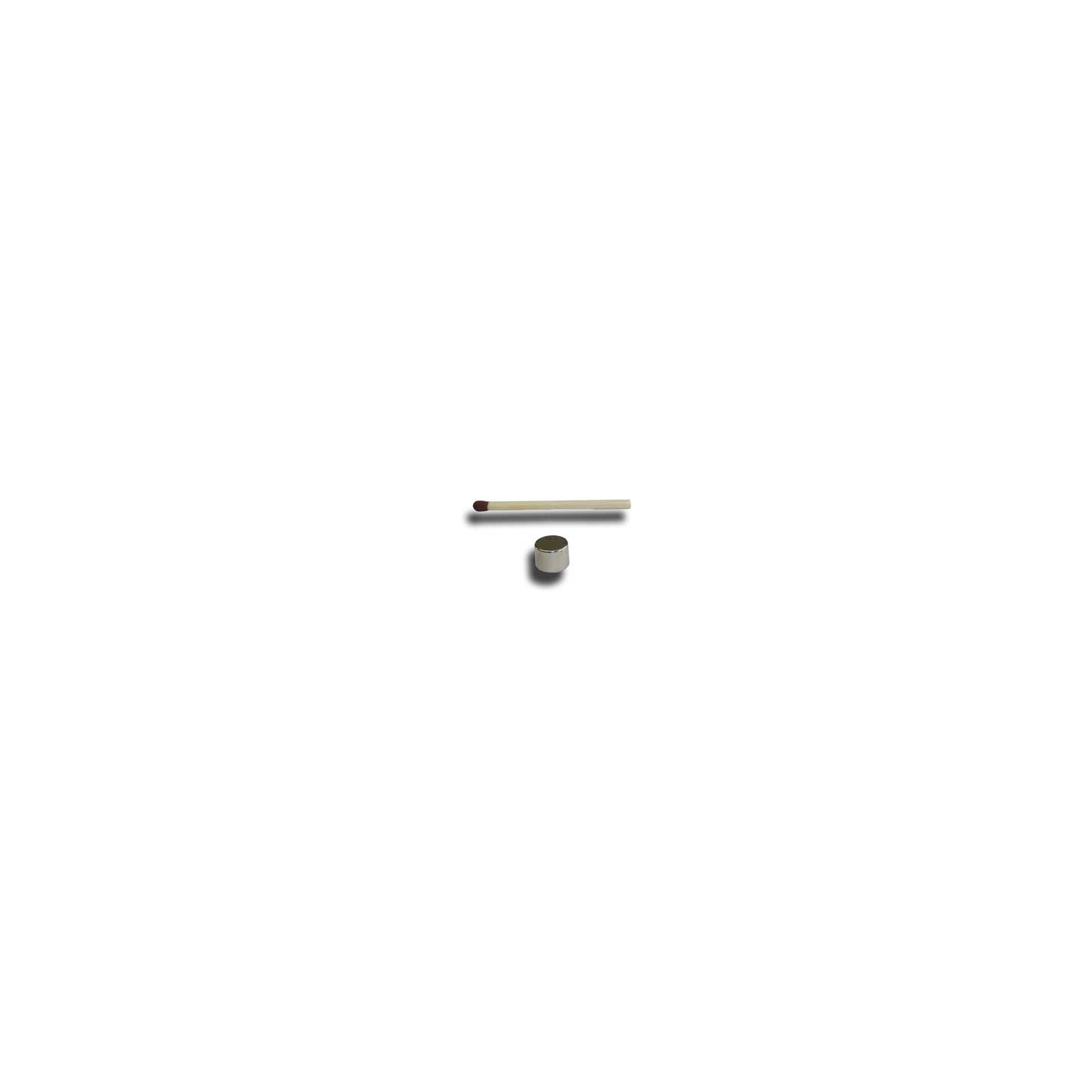 MAGNET 8x6 mm