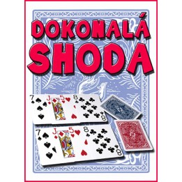 DOKONALÁ SHODA