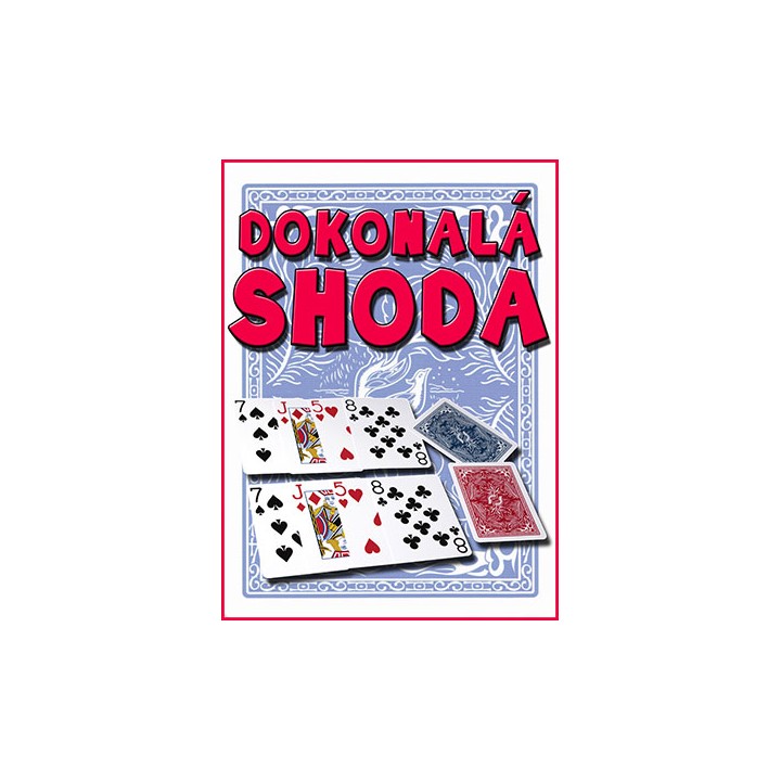 DOKONALÁ SHODA