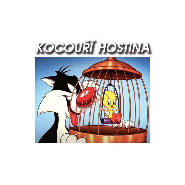 KOCOUŘÍ HOSTINA