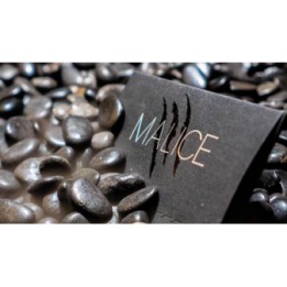 Malice (Gimmicks and Online Instructions) by Xavior Spade
