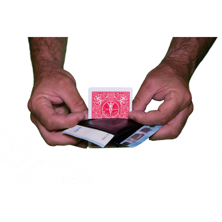 ORIGAMI WALLET