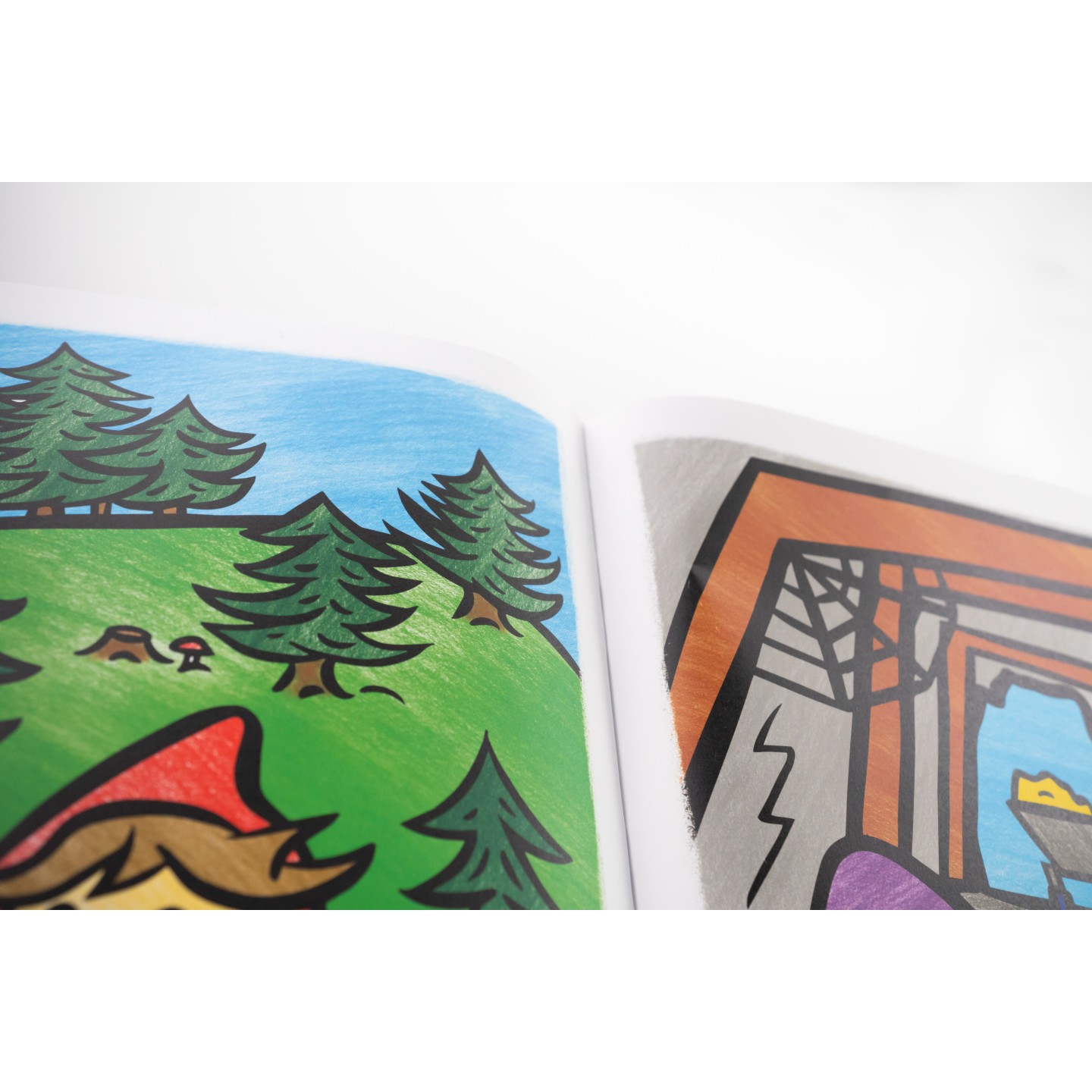 COLORING BOOK PRO