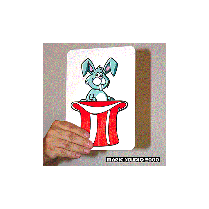 RABBIT CARD - KRÁLÍK KARTA