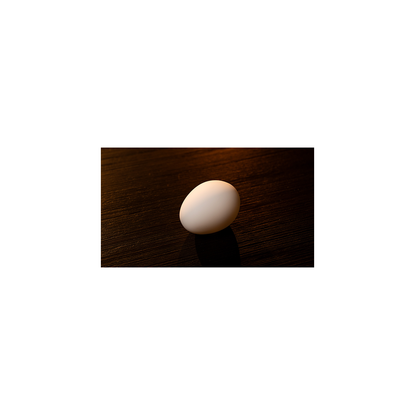 The Egg by Murphy's Magic