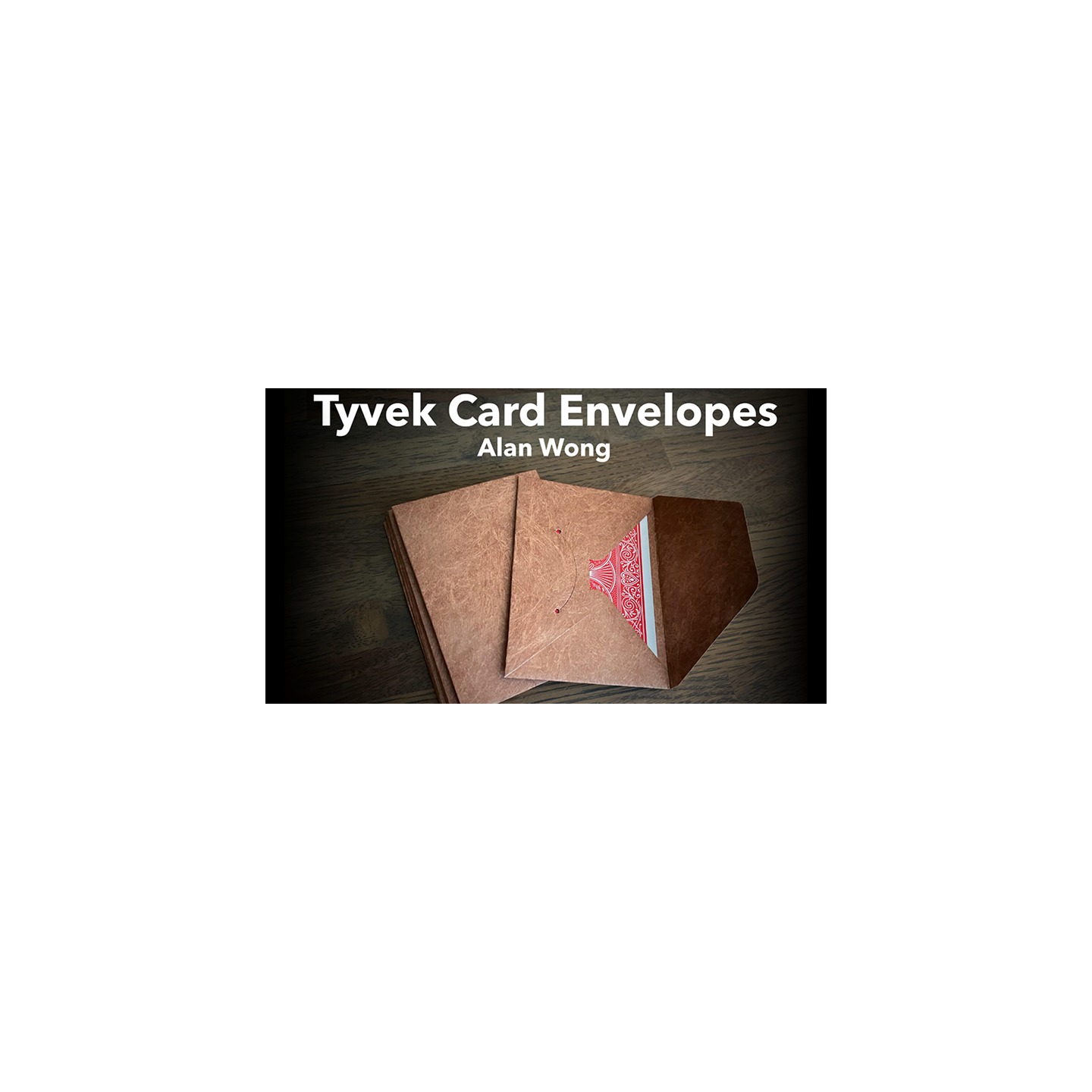 Tyvek Card Envelopes 10 pk. BROWN by Alan Wong