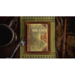Robin Hood Playing Cards by Kings Wild