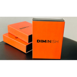 Diminish by Damian Surr