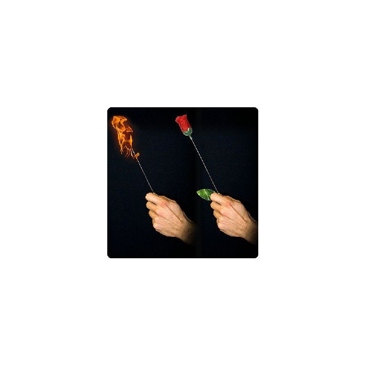 Torch to Rose - Plus