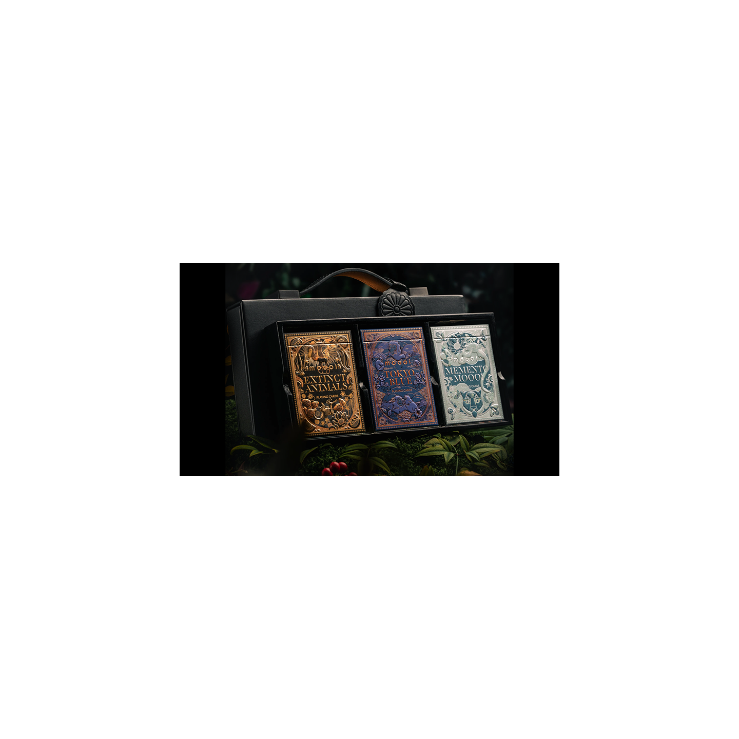 Mooi Collector's Edition BOXSET by theory11