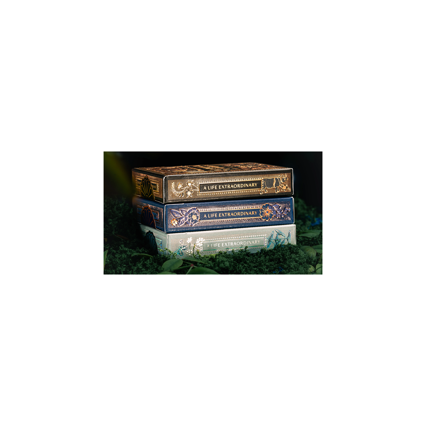 Mooi Collector's Edition BOXSET by theory11