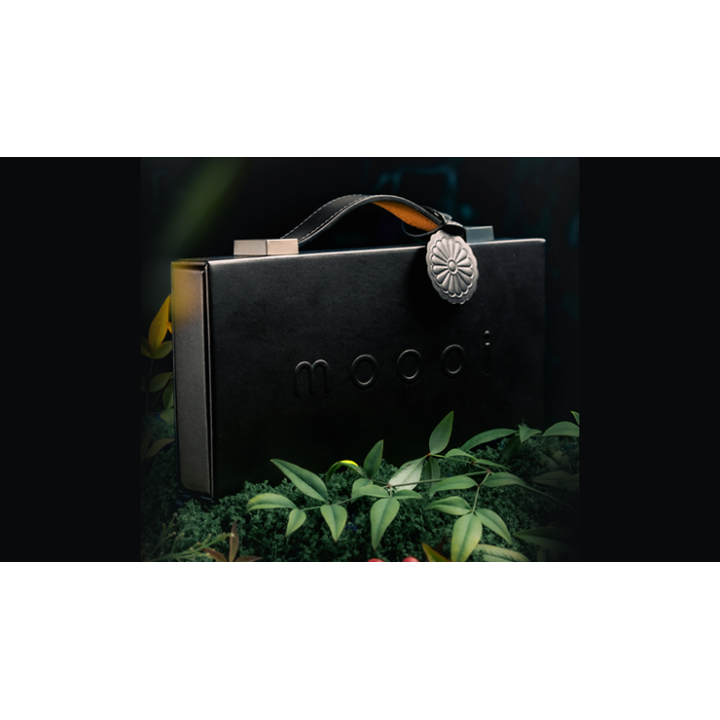 Mooi Collector's Edition BOXSET by theory11