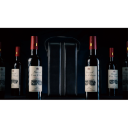 Miracle Wine Bottles Carrying Bag by TCC