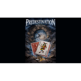 Predestination by Gary Jones