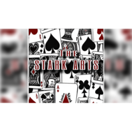 The Stark Arts by Landon Stark eBook DOWNLOAD