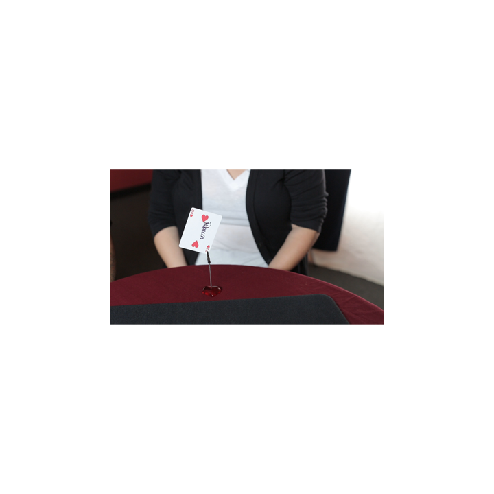 Anniversary Waltz (Performance and Instruction ONLY, does NOT include the cards) by Garrett Thomas and Doc Eason