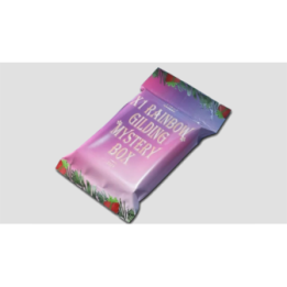 X1 Rainbow Gilding Mystery Box by YUCI